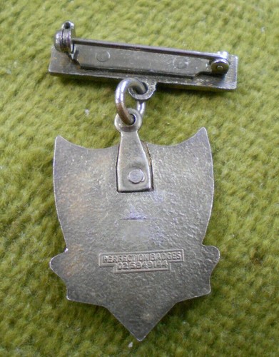 #D203. COWRA HIGH SCHOOL LAPEL BADGE - SRC EXECUTIVE & KURRAJONG HOUSE BADGE - 第 3/5 張圖片