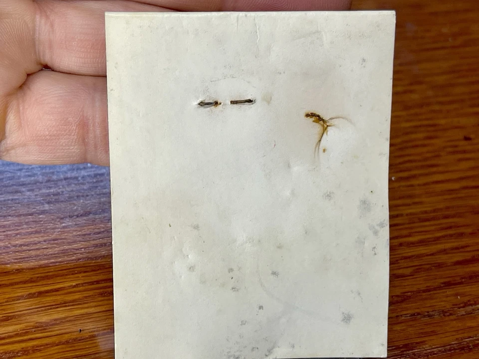 SIDEFRAMES EMD FIRST GEN FLEXICOIL DIESEL LOCOMOTIVE N PRECISION SCALE No 6701 - Image 3 of 3