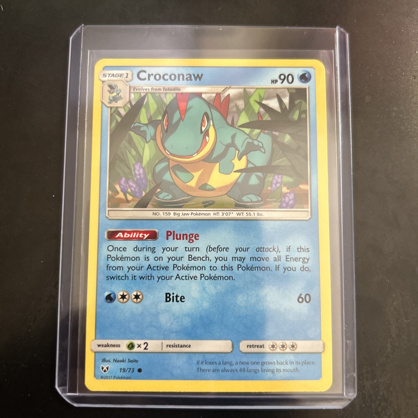 Croconaw 19/73 Regular 2017  Pokemon Trading Card TCG 