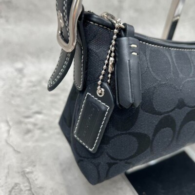 バッグ Coach Baguette Hampton Semi Demi Bag Coach Baguette Hampton Semi Demi Bag Y2K