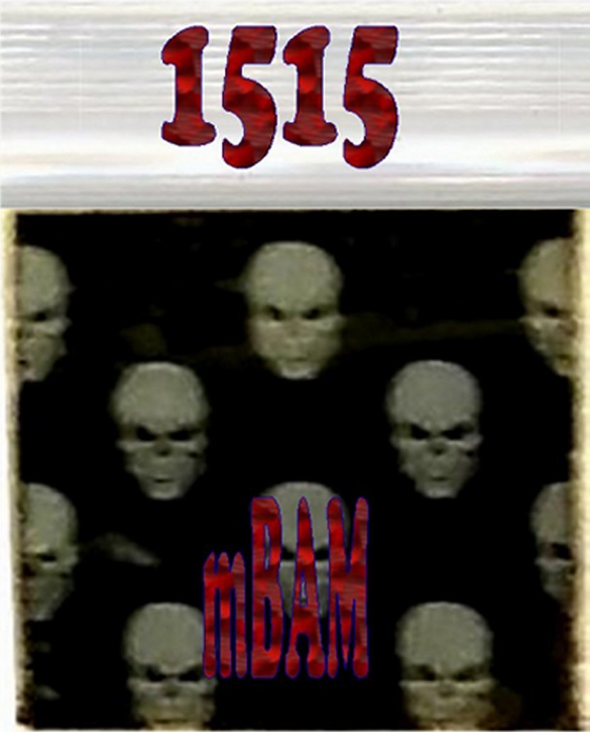 Imagen 8 de 12