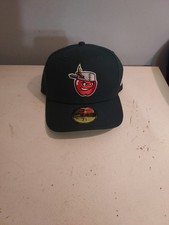 NWT New Era Fort Wayne Tincups Fitted 7 5/8 Baseball Hat