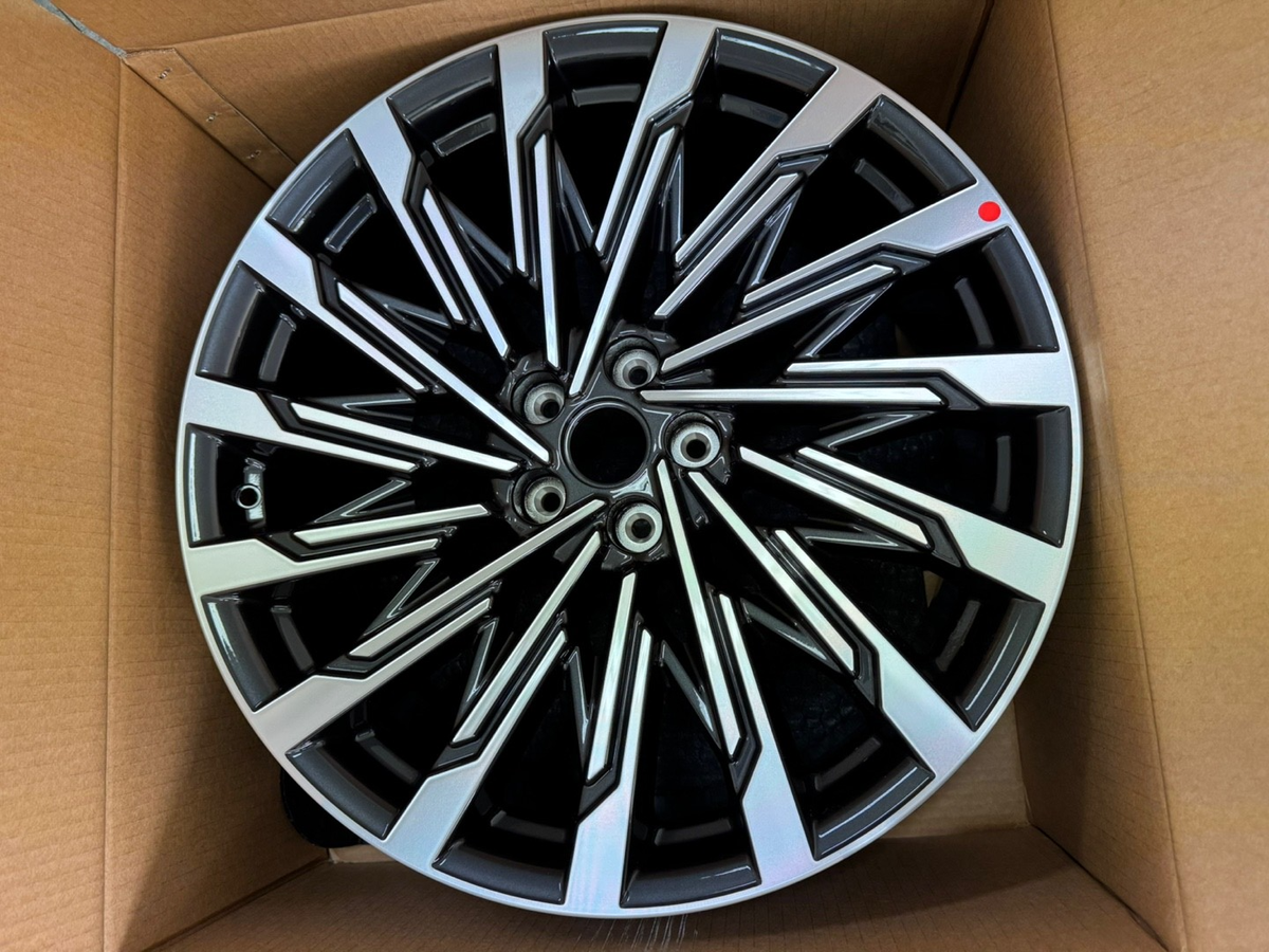 2024+ Hyundai Santa Fe MX5 OEM 21