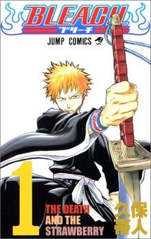 Bleach, Volume 1 (Japanese Edition) | Buch | Zustand sehr gut