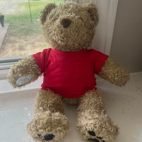 25th Anniversary Build a Bear Curly Teddy Bear