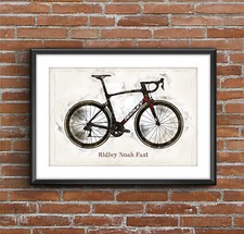 Ridley Noah Fast - Stampa Ciclismo - Poster Schizzo Arte [senza cornice]