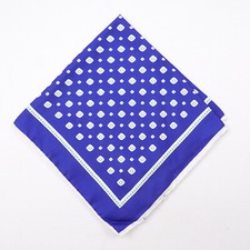Roda Royal Blue and Green Foulard Print Silk Pocket Square NWT