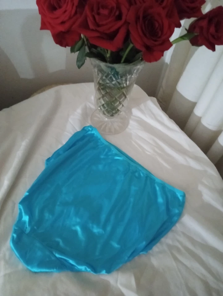 New hanes size 9 satin stretch sissy panties - Image 2 of 4