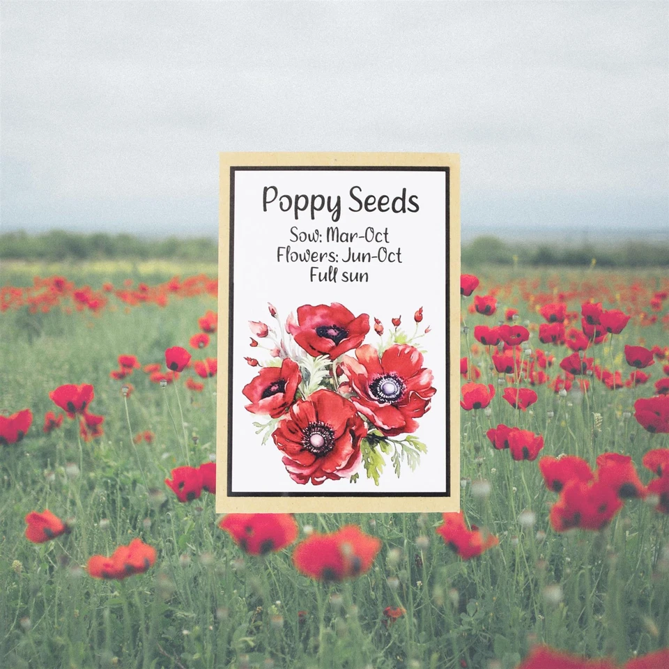 Juego de regalo de jardinería - taza rosa de rodillera y esmalte, semillas de amapola - taza de granada Foto 4 de 4