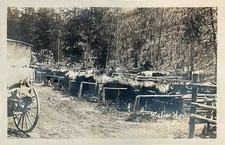 Wylies Horses Yellowstone Park Wyoming Tourist Camp RPPC Photo Postcard COPY