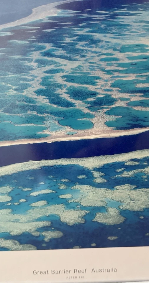 Peter Lik "Gran Barrera de Coral" Australia Impresión Enmarcada 41.25” X 15.75” RARO Foto 3 de 4