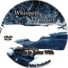 DVD Relaxing Winter Office Spa Snowfall Soothing Nature Christmas Video Scenes
