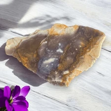 Blue Petrified Wood Freeform Slab (4)