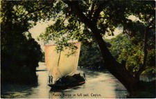 CPA Padda Barge in full sail CEYLON SRI LANKA (1365124)
