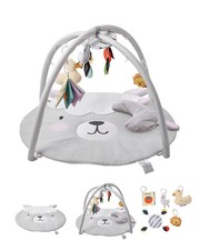 Baby Play Gym Mat, Tummy Time Mat with 5 Sensory Toys, Baby Activity Mat w