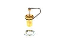 Bosch Thermostat, Kaltstartanreicherung U.A. FüR Aston Martin, MERCEDES-BENZ
