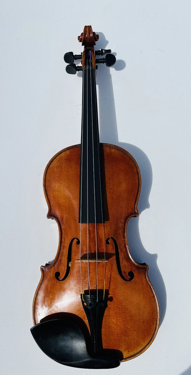 Roth Violins | Updated Sep 2026