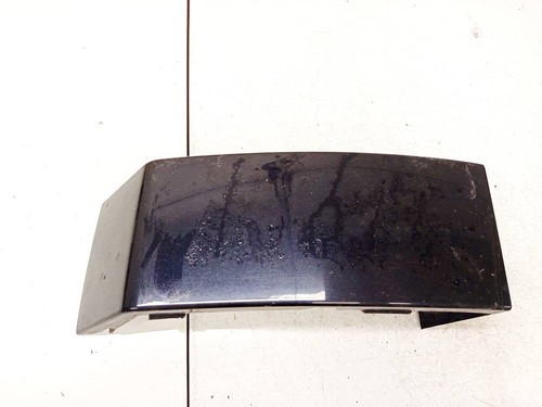 Rear light trim molding