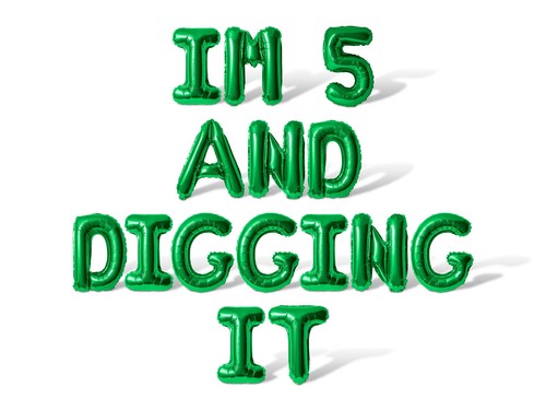 IM 5 AND CAGGING IT Letra Globo Banner - Hágalo usted mismo 5º Cumpleaños Fiesta Decoración - Imagen 21 de 55