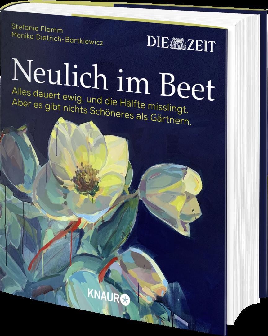 Thumbnail - Neulich Beet, Stefanie Flamm