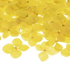 60-Pack Dried Pressed Flowers for Resin, Real Natural Bulk Dry Floral Yellow 