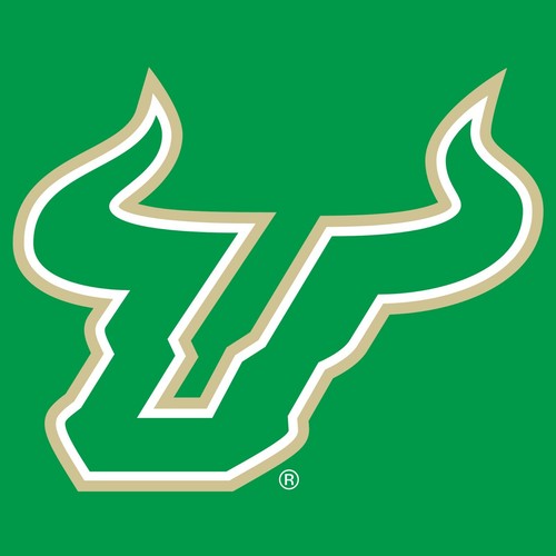 South Florida Bulls Primary Logo Women's T-Shirt - Irish Green - Bild 4 von 6