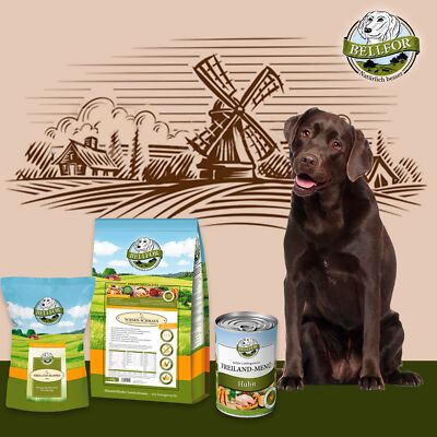 Bellfor Hundefutter Nassfutter Trockenfutter Soft Hundesnack Labrador  Futter Set | eBay.de