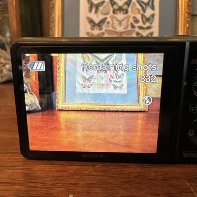 Sony Cyber-shot DSC-WX1 Black 10.2MP Compact Camera from Japan
