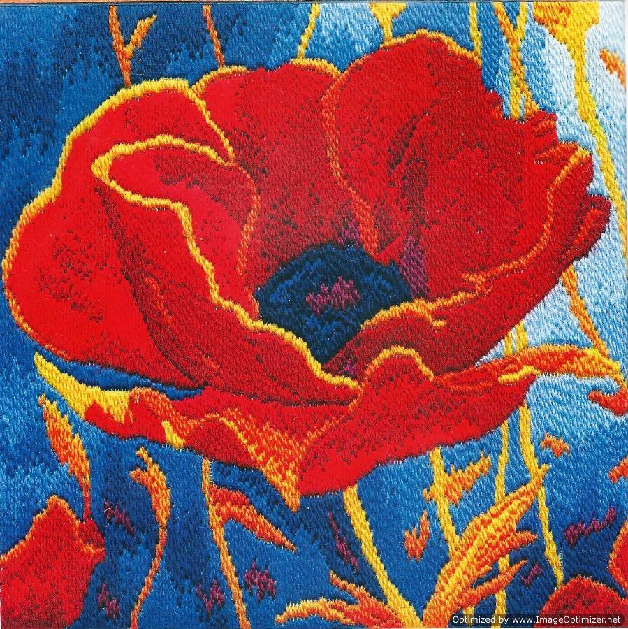 Derwentwater Designs Long Stitch Kit - Poppy Head, Flower