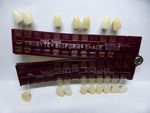 Dentsply International Trubyte Bioform Shade Guide, Dental Zahn passend - Bild 8 von 8