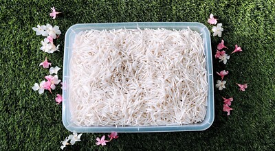 dentalium shells 5 kg - 11.02 Lbs.