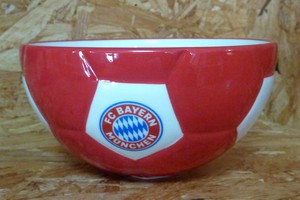 Werder bremen hoodie