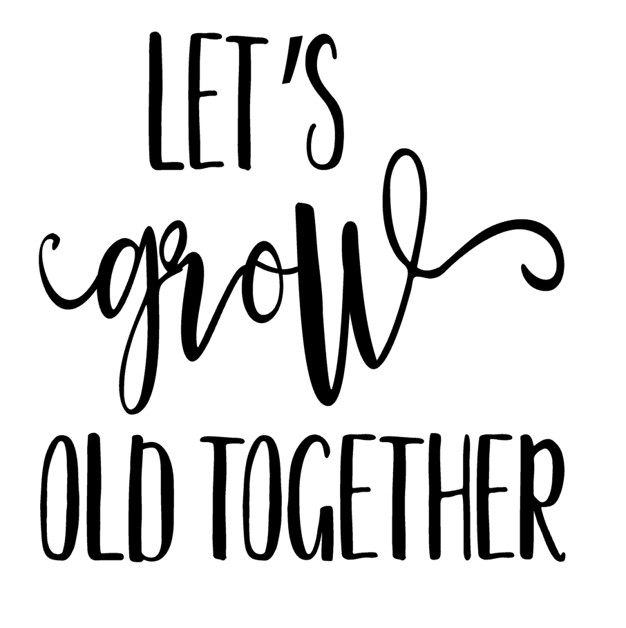 Let's Grow Old Together Vinyl Decal Sticker For Home Cup Car Wall Decor a755