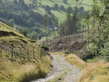 Photo 6x4 Track beside Springhill Wood Pandy/SJ1935 A farm track which i c2007