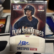 2014 Panini USA Baseball Cards 22