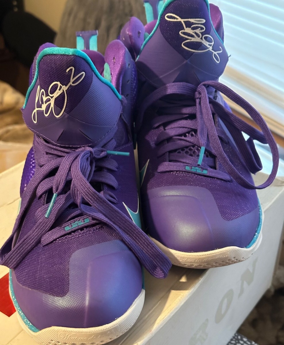 Size 10 - Nike LeBron 9 Summit Lake Hornets for sale online  display picture 2