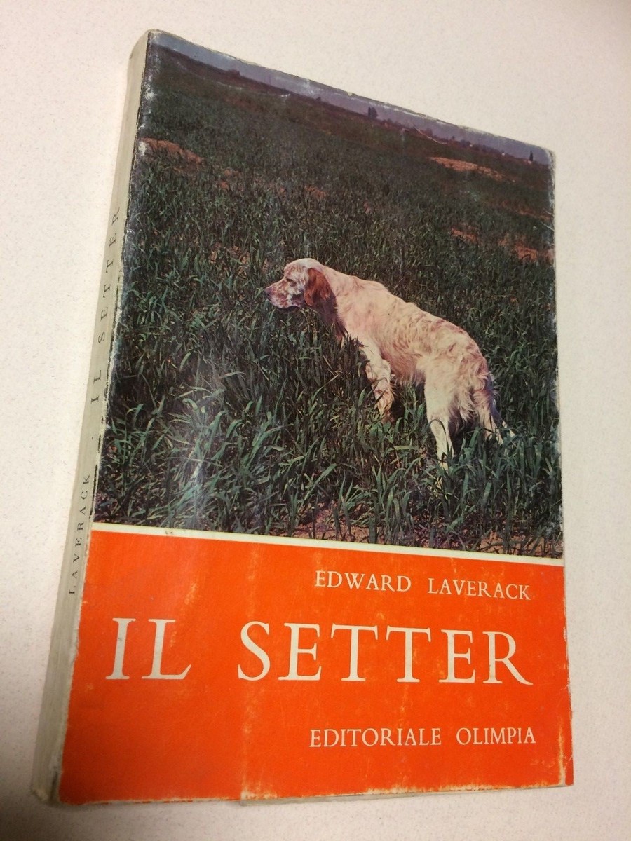 IL SETTER EDWARD LAVERACK CANE CACCIA ADDESTRAMENTO EDITORIALE