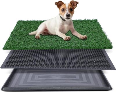 20x25 inch Artificial Grass for Dog Potty with Tray Dog Potty Training