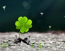 Nail Art Stickers 3D Nails Decals Nail Foil DIY Flower Slider Nail Decoration