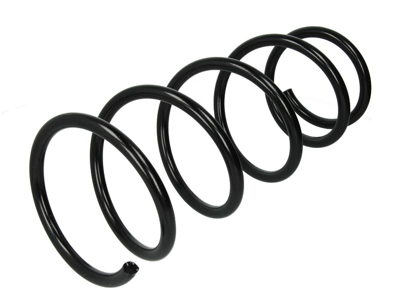 Suspension Coil Spring Front Fits Nissan Kubistar Renault Kangoo ROC CS3749 - Image 11