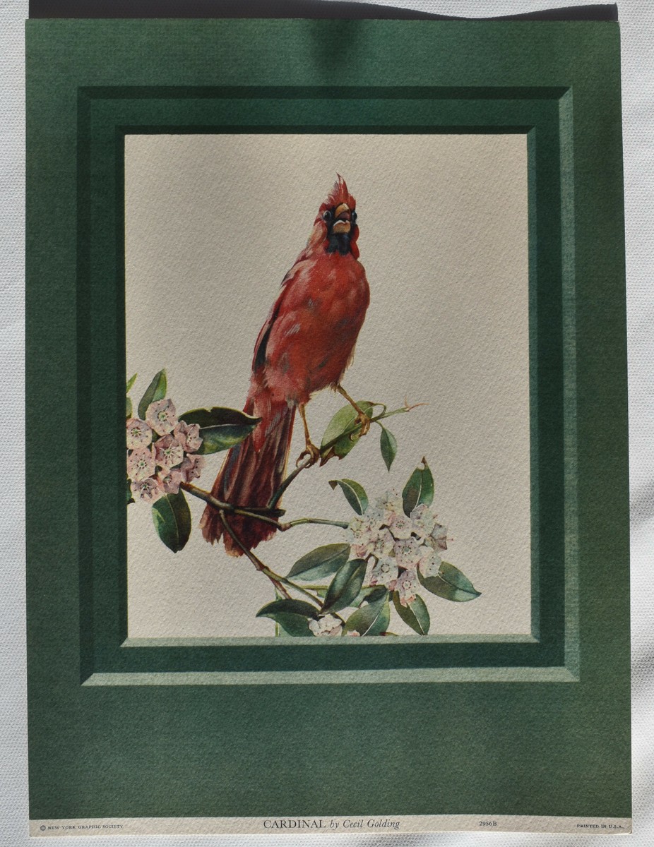 セシル・ゴールディング（Cecil Golding）プリントアート 2点セット CECIL GOLDING BIRD PRINTS NEW YORK GRAPHIC SOCIETY, 1940-1950 | eBay
