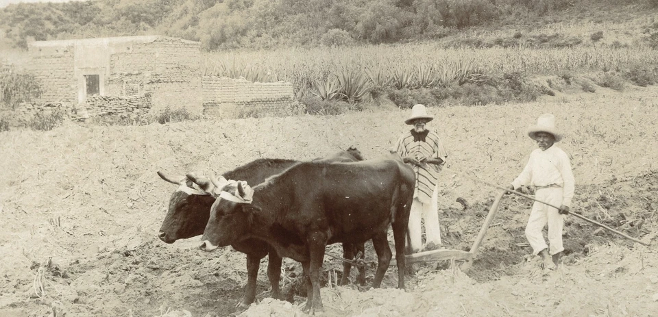 Foto tamaño más grande C. B. ESPERA, campesinos nativos en la Pirámide de CHOLULA, de colección f Foto 2 de 4