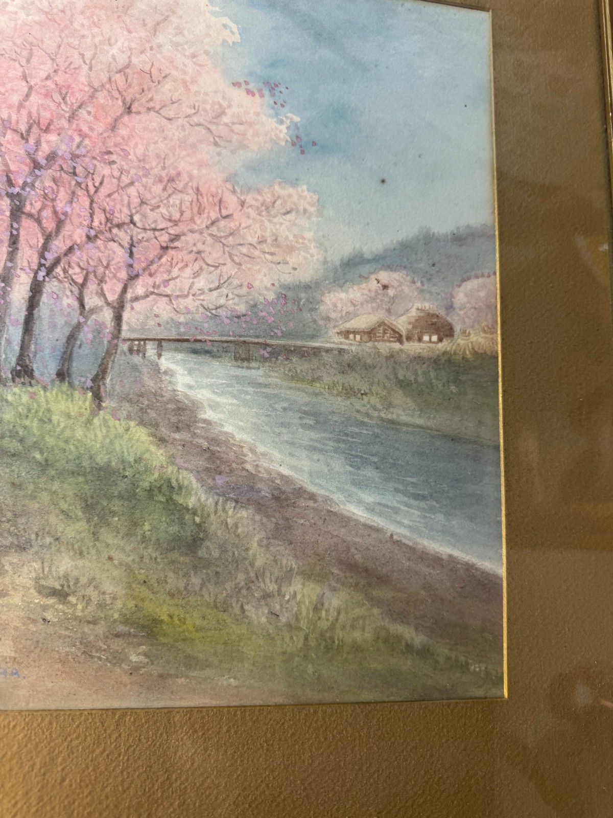 Picture 11 of 16