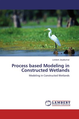 Lordwin Jeyakumar | Process based Modeling in Constructed Wetlands | Taschenbuch