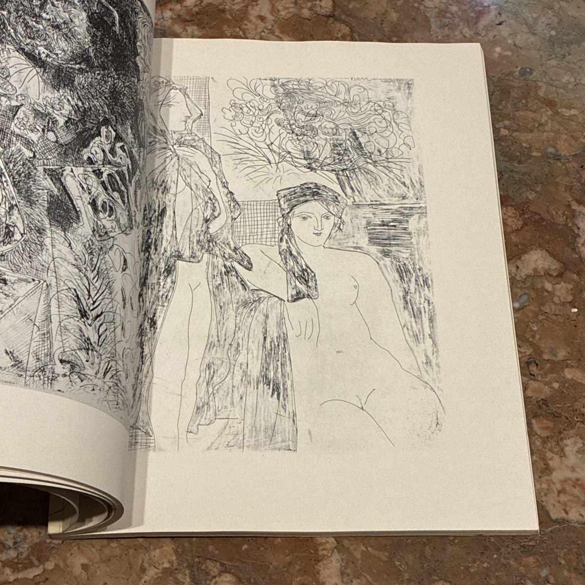 Picasso Art Book Picasso's Vollard Suite Black & White Etchings