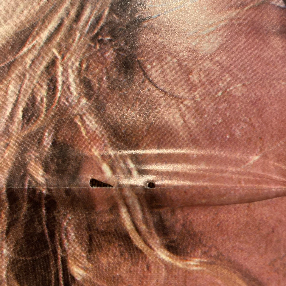 Hit Parader Magazine Metal Superstars 1989 Metallica Poster RARE - Image 4 of 4