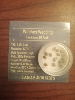 15 Witches Wedding Souvenir Seed's