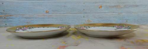 Due piatti Fischer & Mieg di Pirkenhammer, Boemia decorativi floreali firmati 1913 - Foto 4 di 6