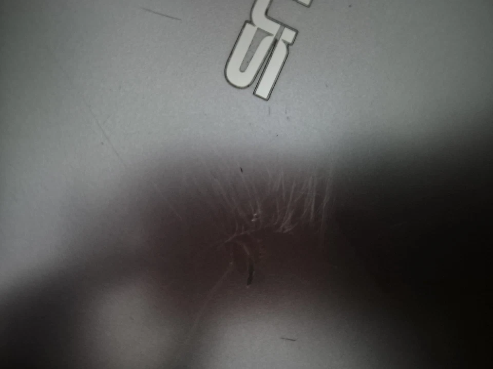 Asus Chromebook C223n - Celeron N3350 @ 2.40ghz - 2GB RAM - 16GB SSD - Ch... - Image 4 of 4