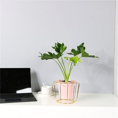 Nordic Metal Plant Stand Indoor Outdoor Flower Pot Planter Display Holder Decor